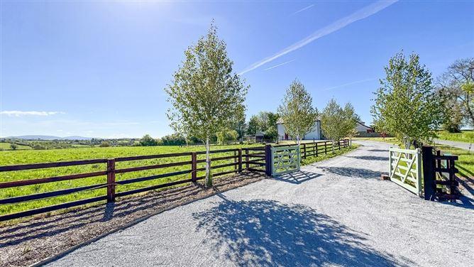 Willow Lodge, Annamult, Bennettsbridge, Co. Kilkenny, historical listing image 2