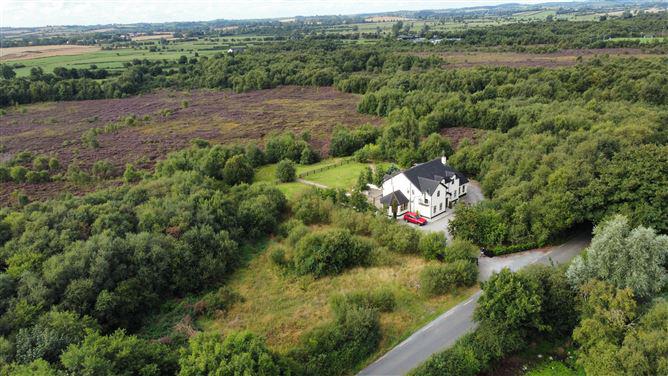 Townspark House, Townparks, Ardee, Co. Louth, A92F1C8, historical listing image 3