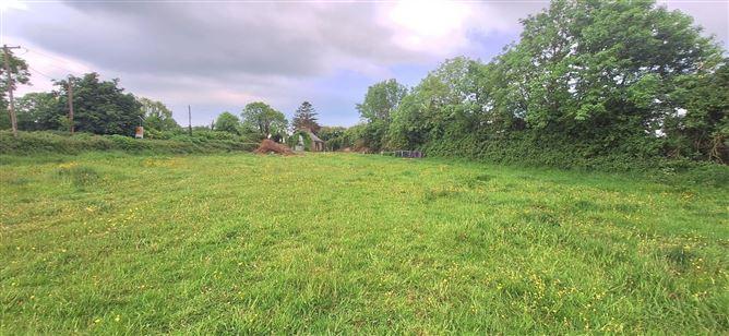 Ballyadams, Co. Laois, historical listing image 5