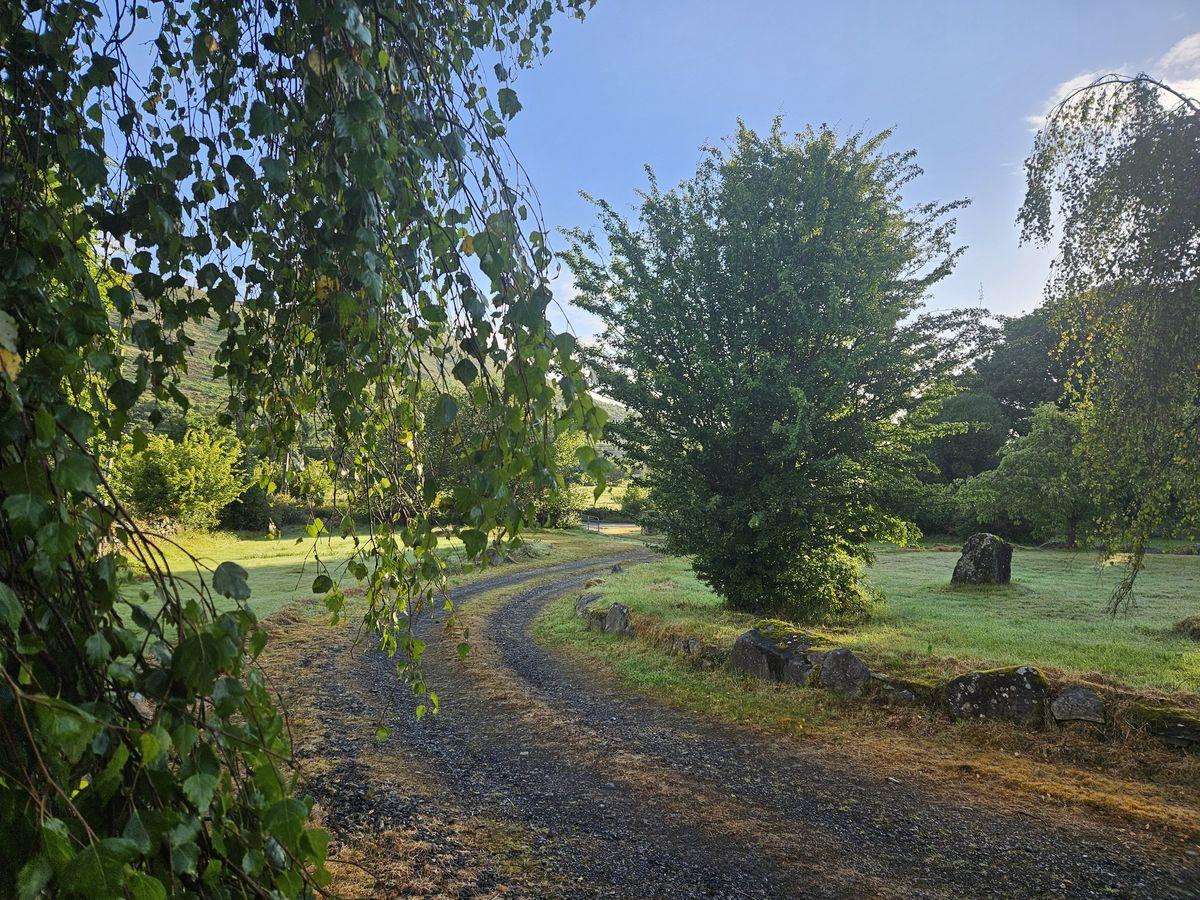 Coolegraine, Foxford, Corlee, Co. Mayo, F26HF64, historical listing image 2