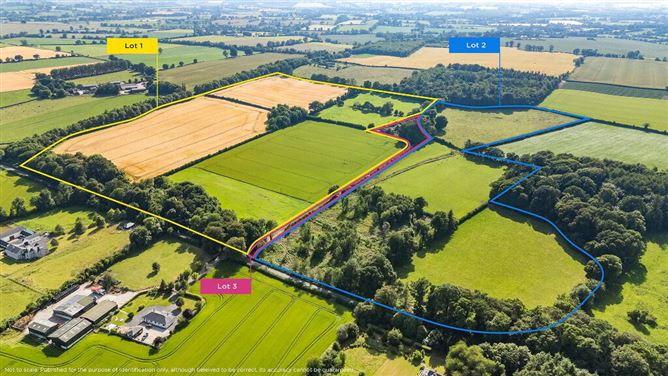 Lot 3 - Gatekeeper's Cottage, Lisnavagh, Rathvilly, Carlow, historical listing image 1
