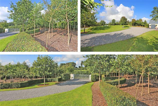 Aobh House, Ballycahane, Crecora, Co. Limerick, historical listing image 4