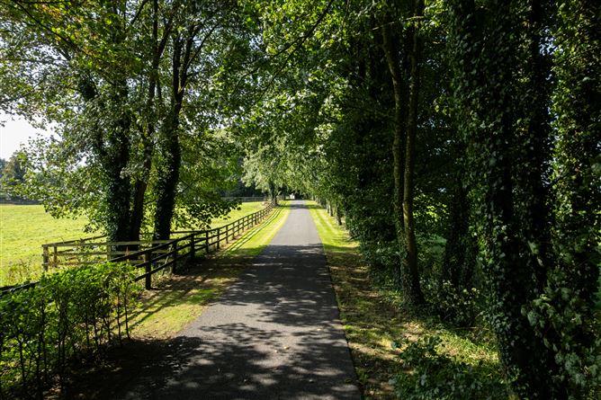 Cangort House, On Approx. 9.67 Hec (23.9 Acre), Shinrone, County Offaly, historical listing image 2