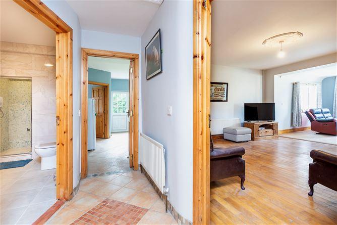 Sinnottstown Lane, Drinagh, Wexford, Wexford Town, Wexford, historical listing image 5