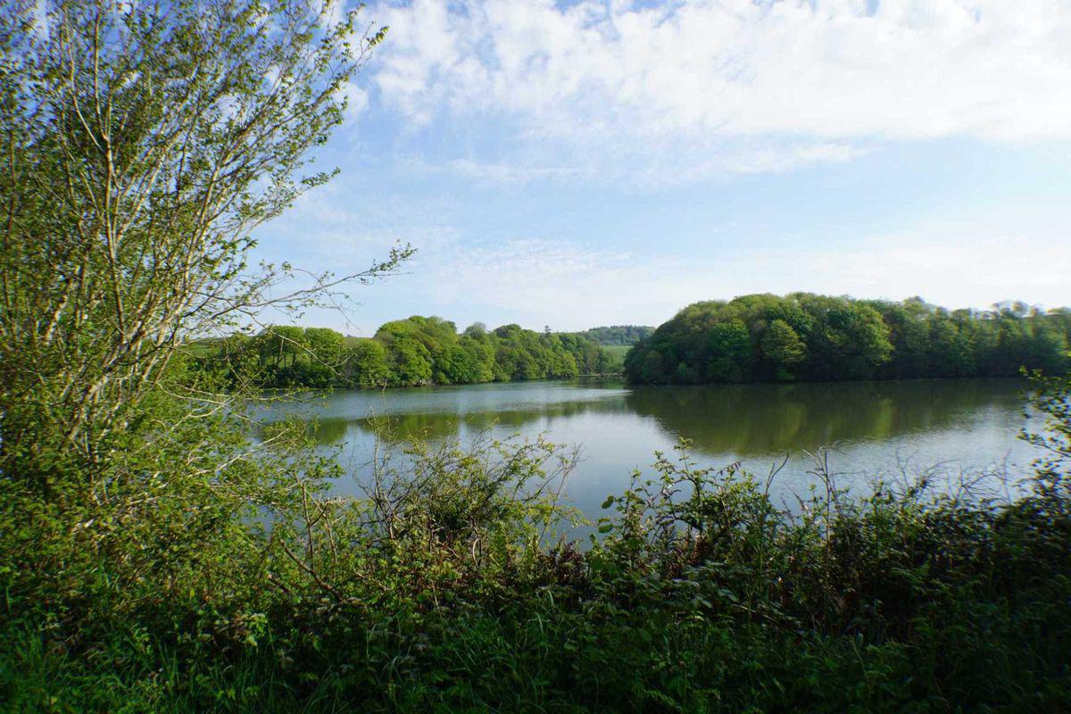 Ballinacurra Estate, Kinsale, Cork, historical listing image 6
