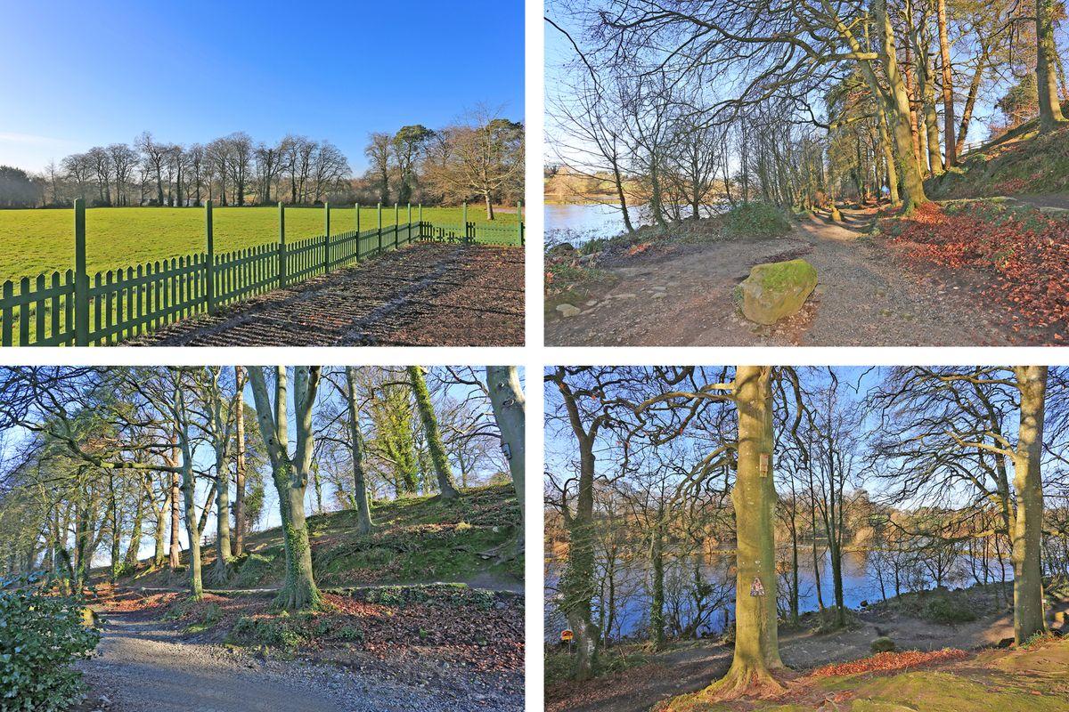 15 Waterside Mews, Castleconnell, Co. Limerick, V94YD1V, historical listing image 3