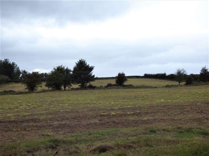 Hollybrook, Claremorris, Co. Mayo, historical listing image 6