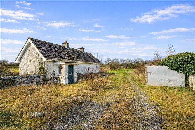 Lowertown, Kilbeggan, County Westmeath, historical listing image 2