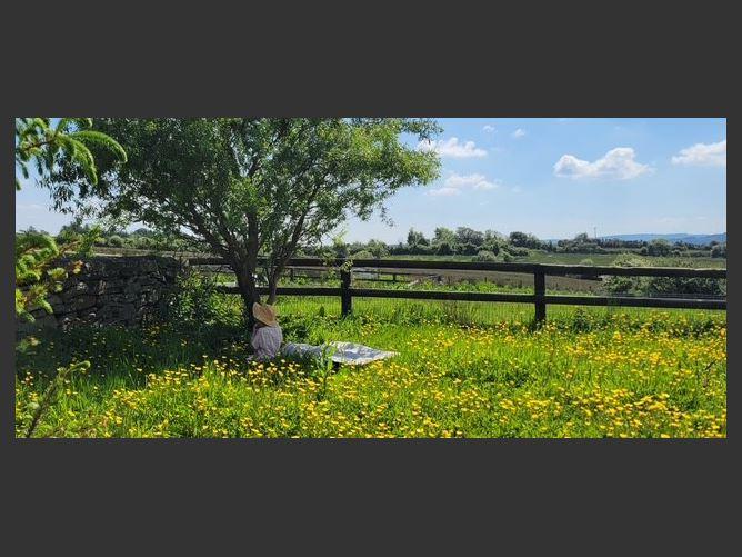 Ballyea North, Inagh, Clare, historical listing image 2