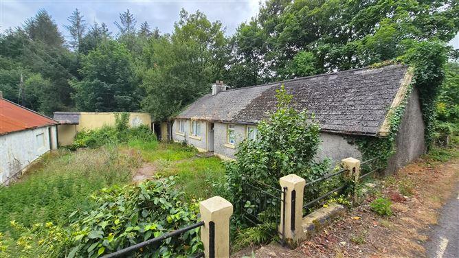 Mullinhassig, Coachford, Cork, historical listing image 2