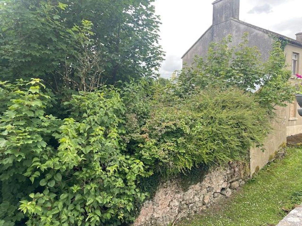 Clooncool, O'Callaghan'S Mills, Broadford, Co. Clare, V94HTW1, historical listing image 3