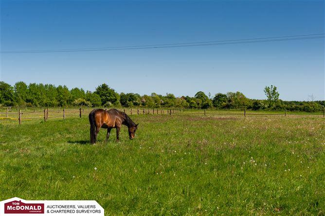 Cluain Na Gadhair, Killeen, Portarlington, Offaly, historical listing image 2