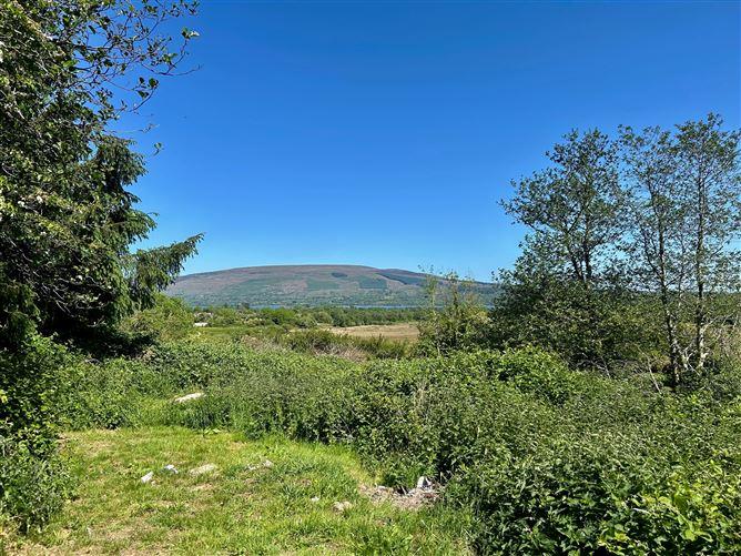Lislea, Arigna, Roscommon, historical listing image 3