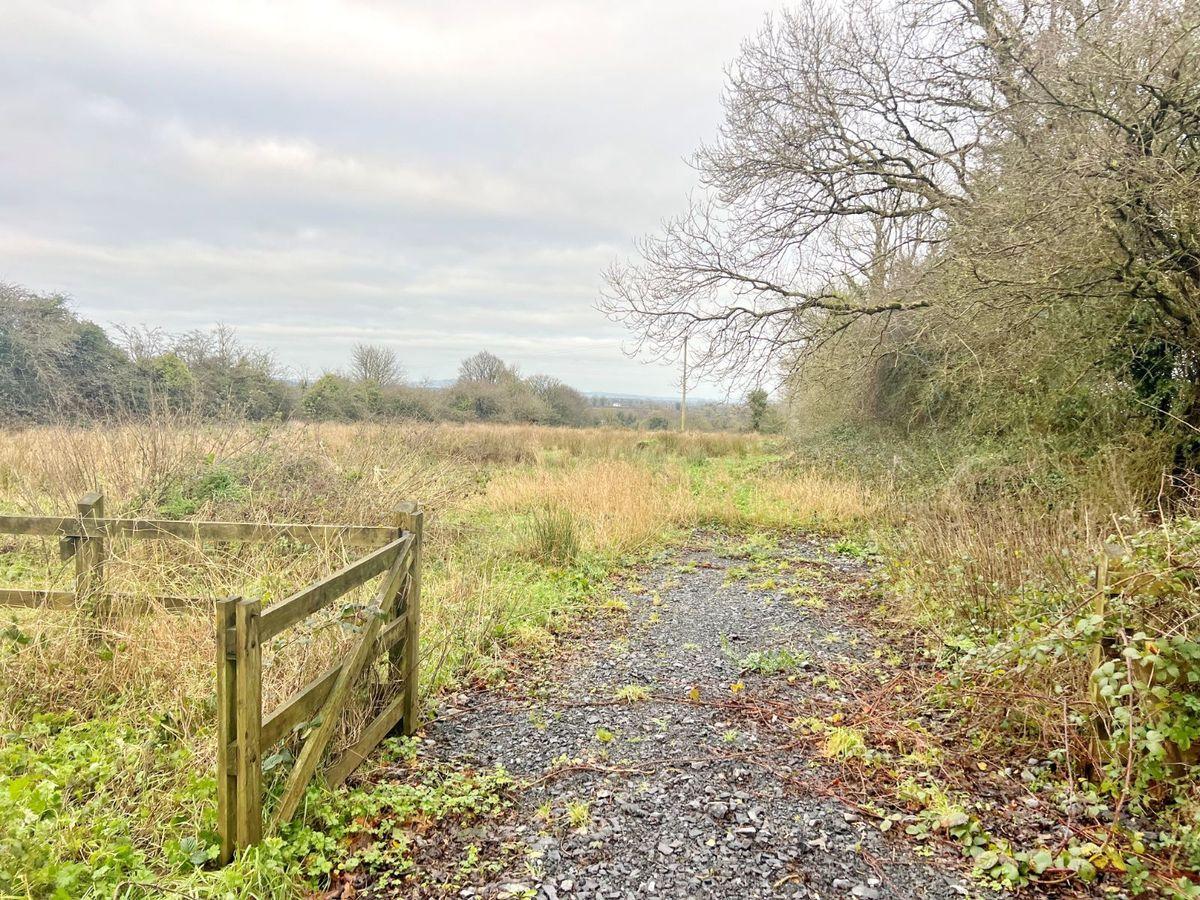 Bawn Mountain, Moydow, Moydow, Co. Longford, N39CF38, historical listing image 4