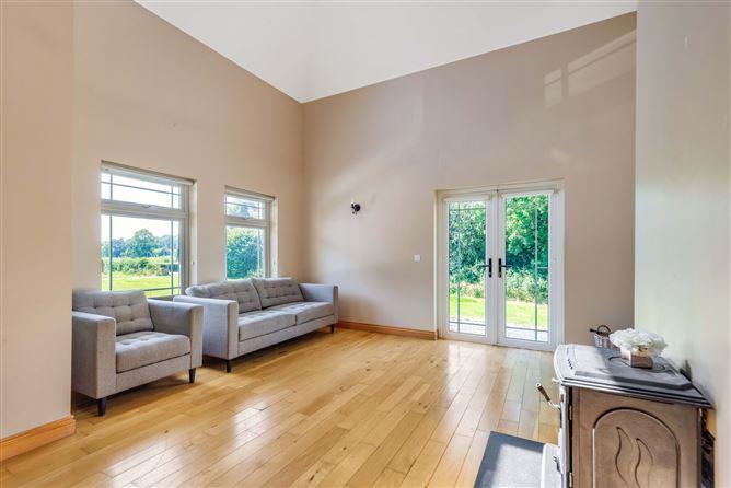 Tonyshandry, Emyvale, Co. Monaghan, historical listing image 5
