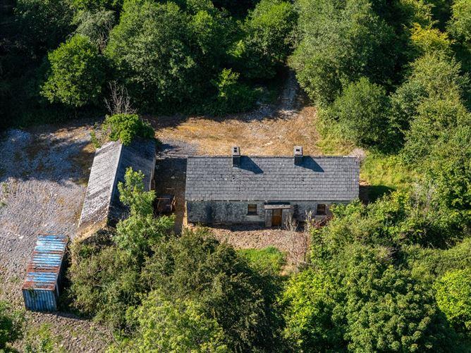 Derrylow, Boyle, Co. Roscommon, RN3682F (For ID), historical listing image 6