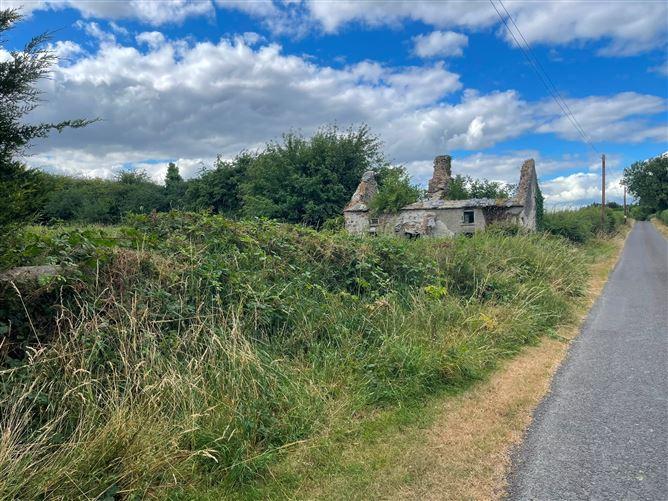 Killenaule, Co. Tipperary, Killenaule, Tipperary, historical listing image 2