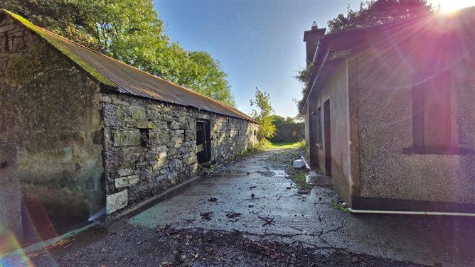 Derelict House With 1 Acre In Knocknagur, Knocknagur, Tuam, Co. Galway, historical listing image 3