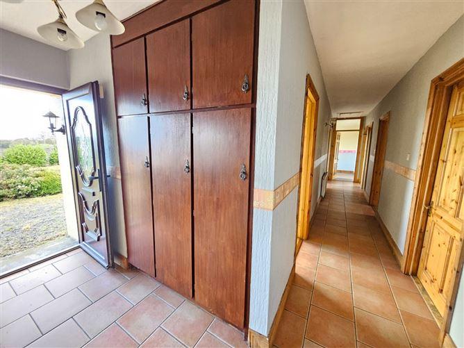 Thornvale, Toomevara, Co. Tipperary, historical listing image 6