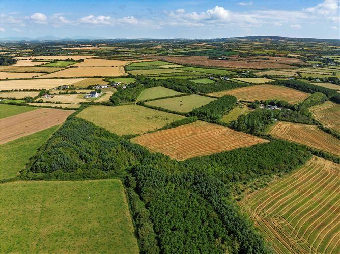 c. 8.78 Hectares (21.70 Acres) at Nicharee, Duncormick, Wexford, historical listing image 5