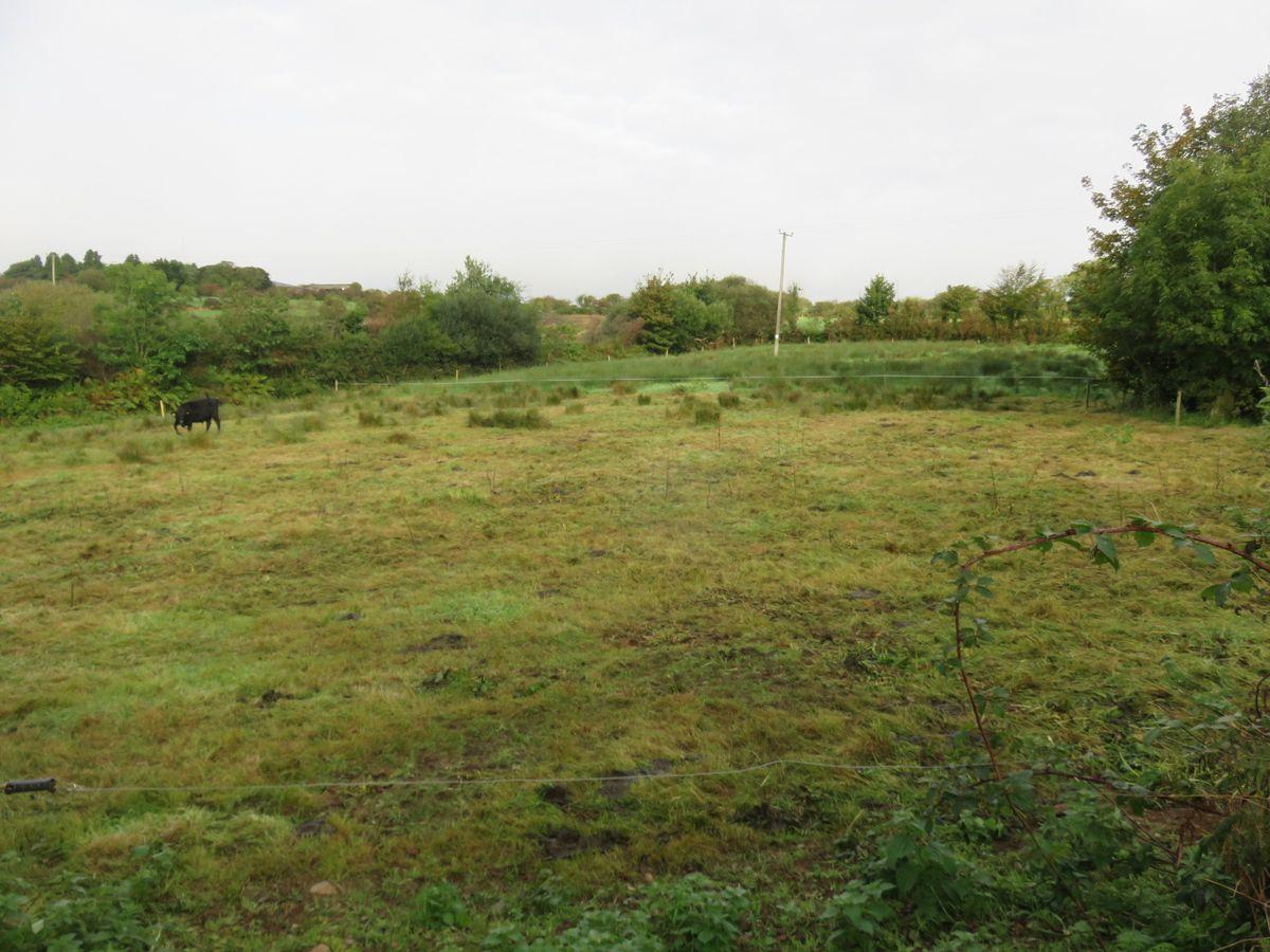 Ratharoon West, Bandon, Co. Cork, historical listing image 1