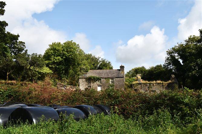 Tobins, Shepperton, Skibbereen, Cork, historical listing image 1
