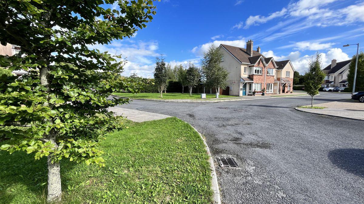 58 Dúnán, Thomastown, Co. Kilkenny, historical listing image 5