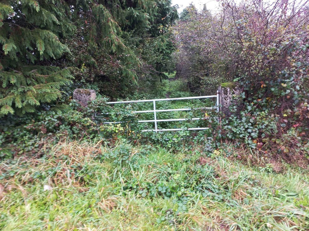 Falleighter, Kilkelly, Co. Mayo, historical listing image 2