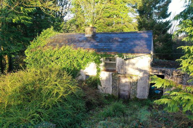 Finnor, Croghan, Co. Roscommon, F52F985, historical listing image 1