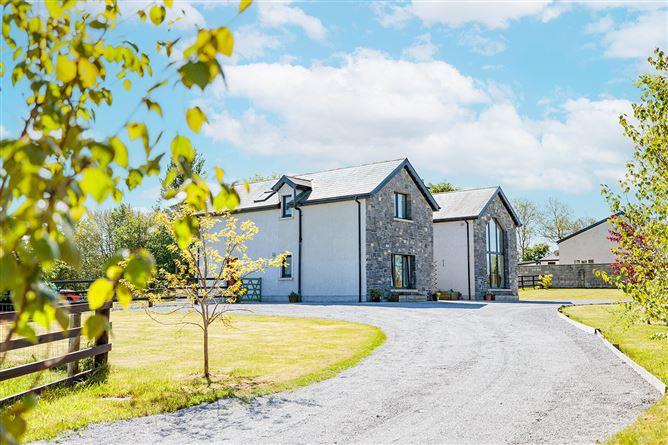 Willow Lodge, Annamult, Bennettsbridge, Co. Kilkenny, historical listing image 6