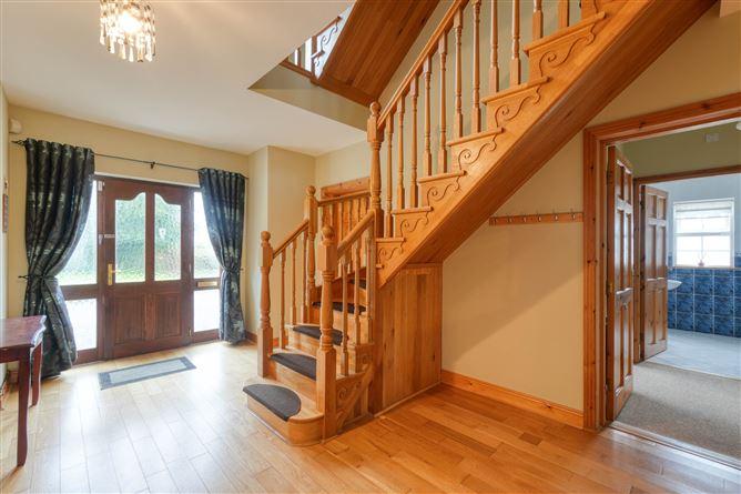 Derrymore, Mountrath, Co. Laois, historical listing image 2