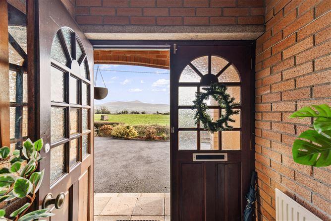 Mountain View, Ballyloughan, Co. Carlow, historical listing image 2