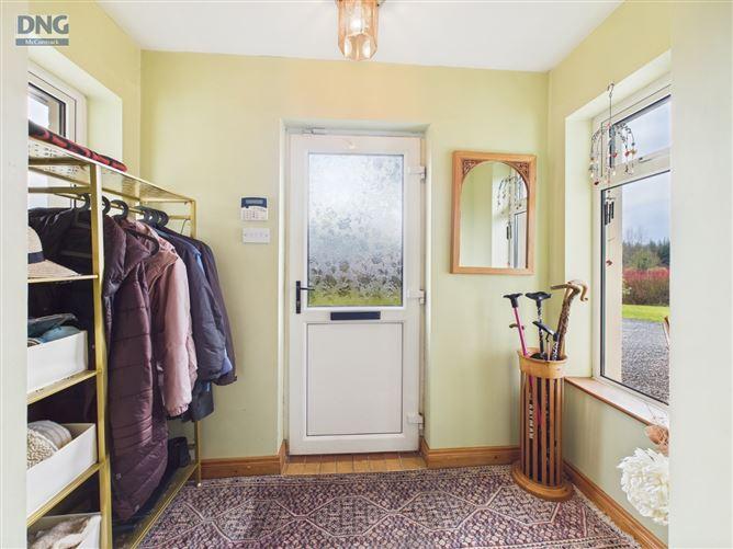 The Rowan, Fairymount, Crettyard, Carlow, Co. Laois, historical listing image 3