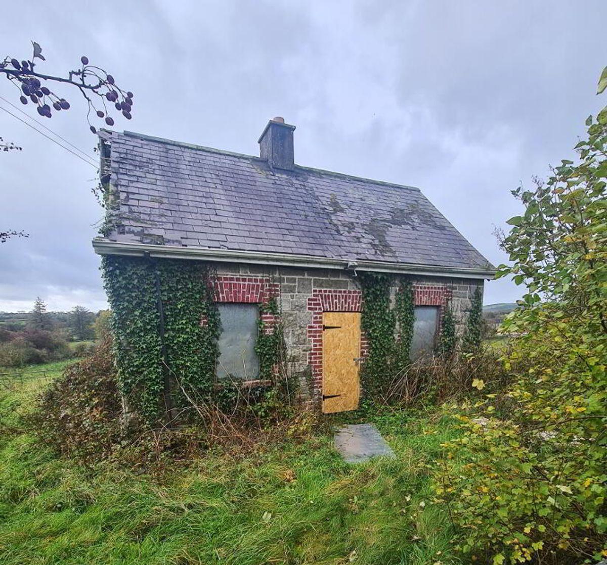 Lathaleer, Baltinglass, Co. Wicklow, historical listing image 1
