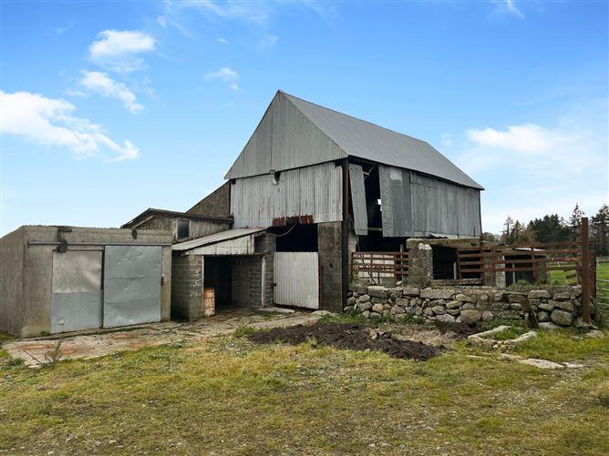 Ballynagrane, Borris, Co. Carlow, R95HD51, historical listing image 5