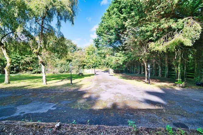 Gardenvale, Rowanstown, Maynooth, County Kildare, historical listing image 3