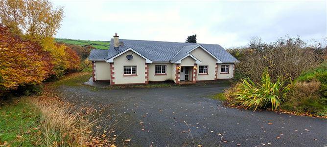 'Rio' Shroughan, Baltinglass, Wicklow, historical listing image 1