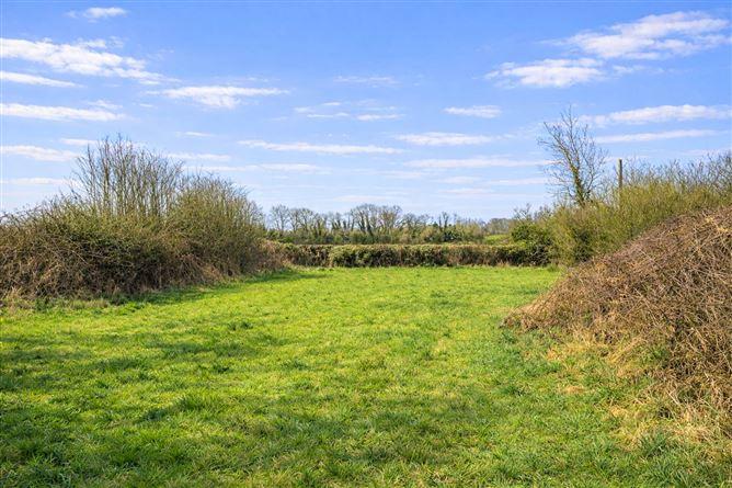Lowertown, Kilbeggan, County Westmeath, historical listing image 5