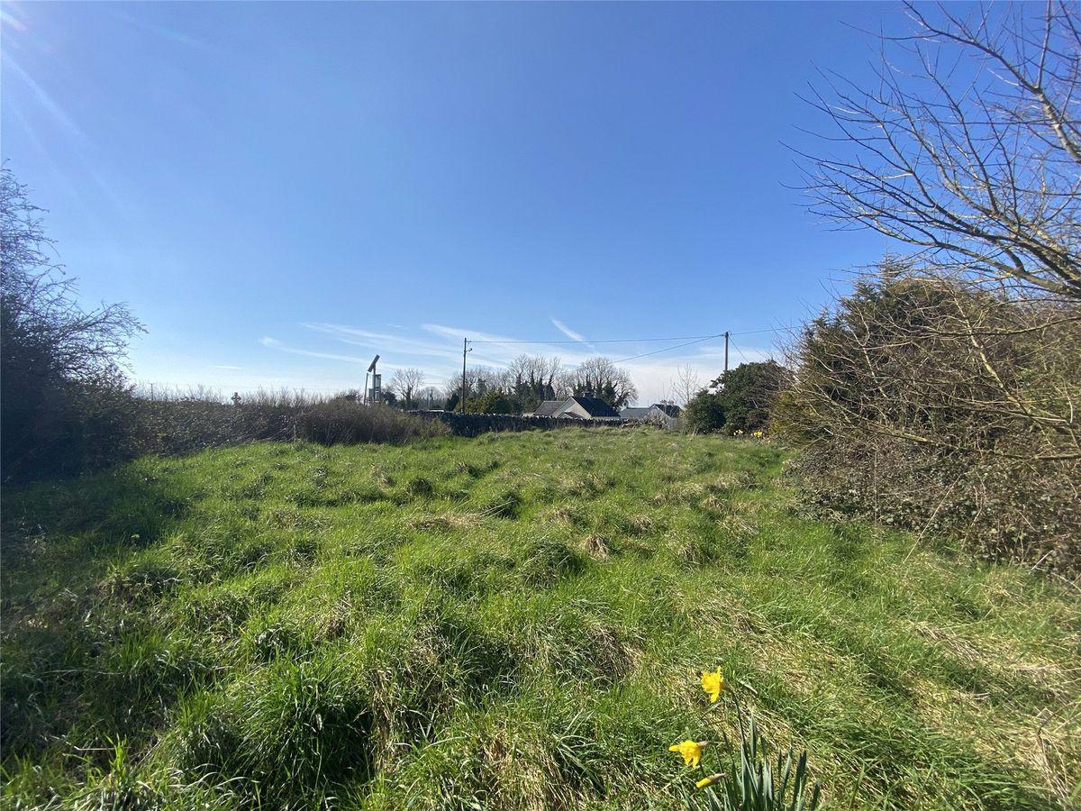 Rosegreen, Cashel, Co. Tipperary, historical listing image 5