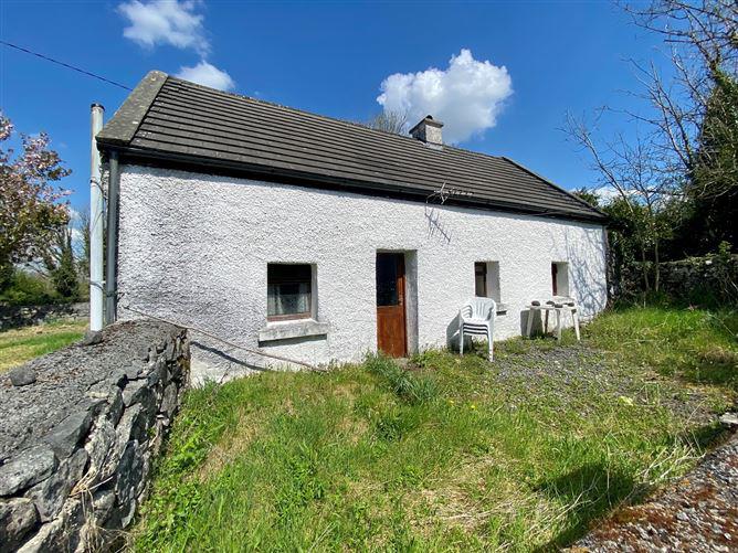 House and Land, Park, Rosscahill, Rosscahill, Galway, historical listing image 2