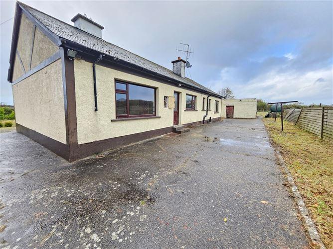 Thornvale, Toomevara, Co. Tipperary, historical listing image 4