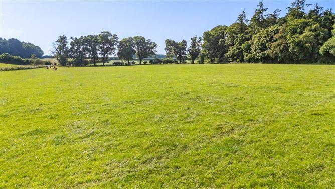 Lot 3 - Gatekeeper's Cottage, Lisnavagh, Rathvilly, Carlow, historical listing image 4
