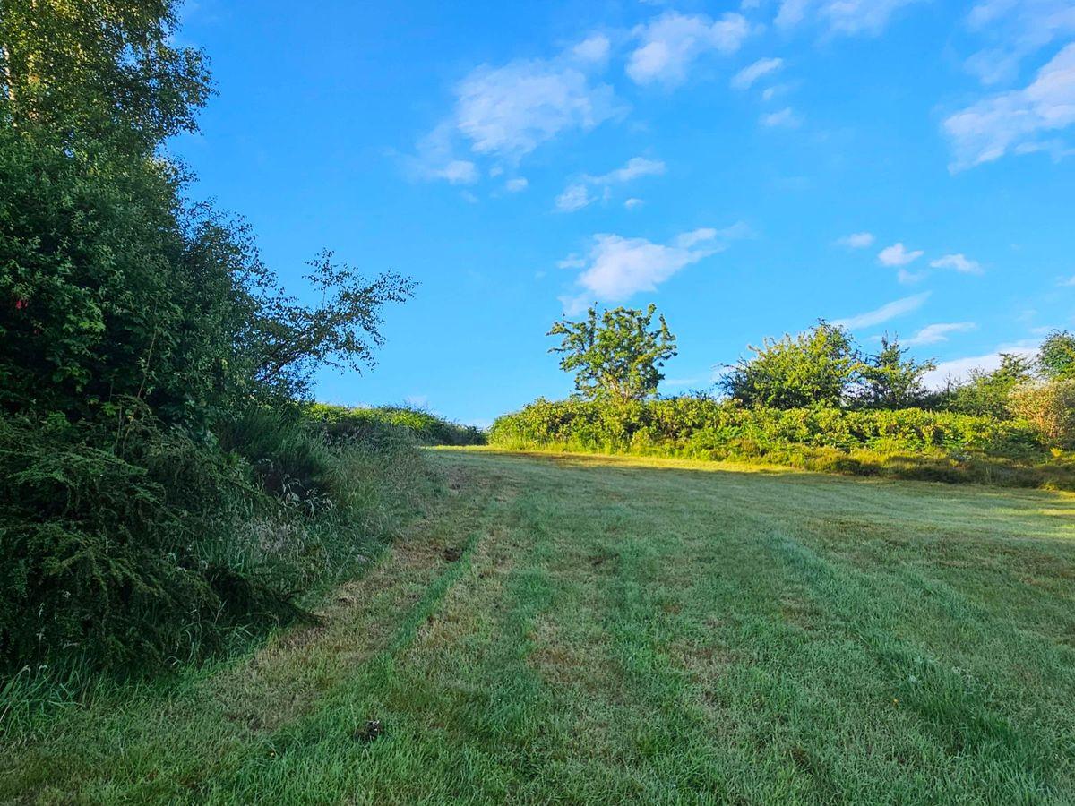Coolegraine, Foxford, Corlee, Co. Mayo, F26HF64, historical listing image 5