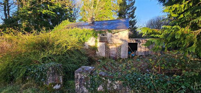 Finnor, Croghan, Co. Roscommon, F52F985, historical listing image 3