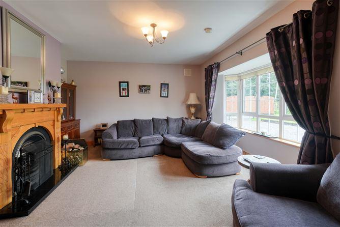 Derrymore, Mountrath, Co. Laois, historical listing image 3