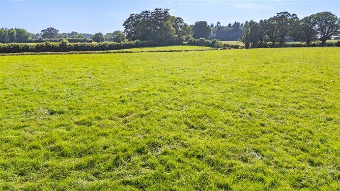 Lot 3 - Gatekeeper's Cottage, Lisnavagh, Rathvilly, Carlow, historical listing image 6