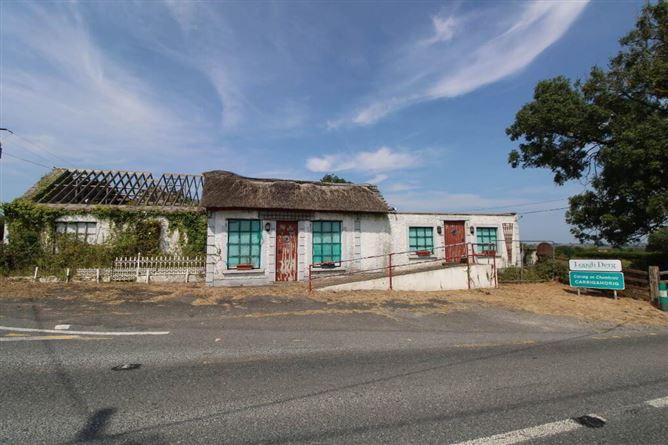 Nalagiri House ( Site) & Refuge Cottage, Firmount, Carrigahorig, Nenagh, Tipperary, historical listing image 1