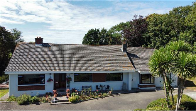 Dromina, Woodstown, Waterford, historical listing image 3