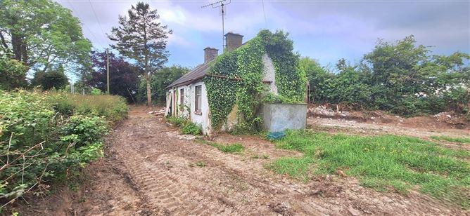 Ballyadams, Co. Laois, historical listing image 1