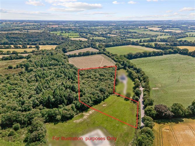 Site 3.3 Acres, Tottenhamgreen, Taghmon, Co. Wexford, historical listing image 1